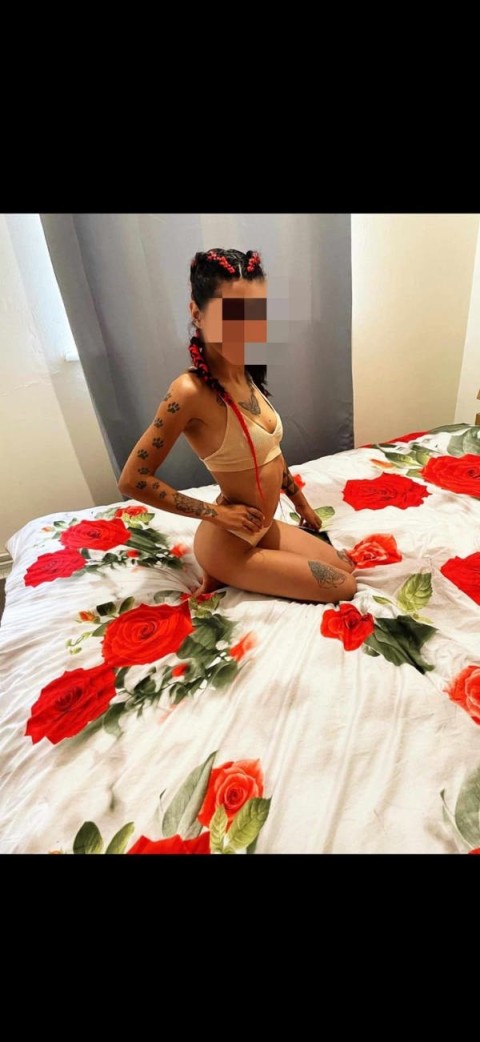 Escortă Insula Iubirii în Satu Mare